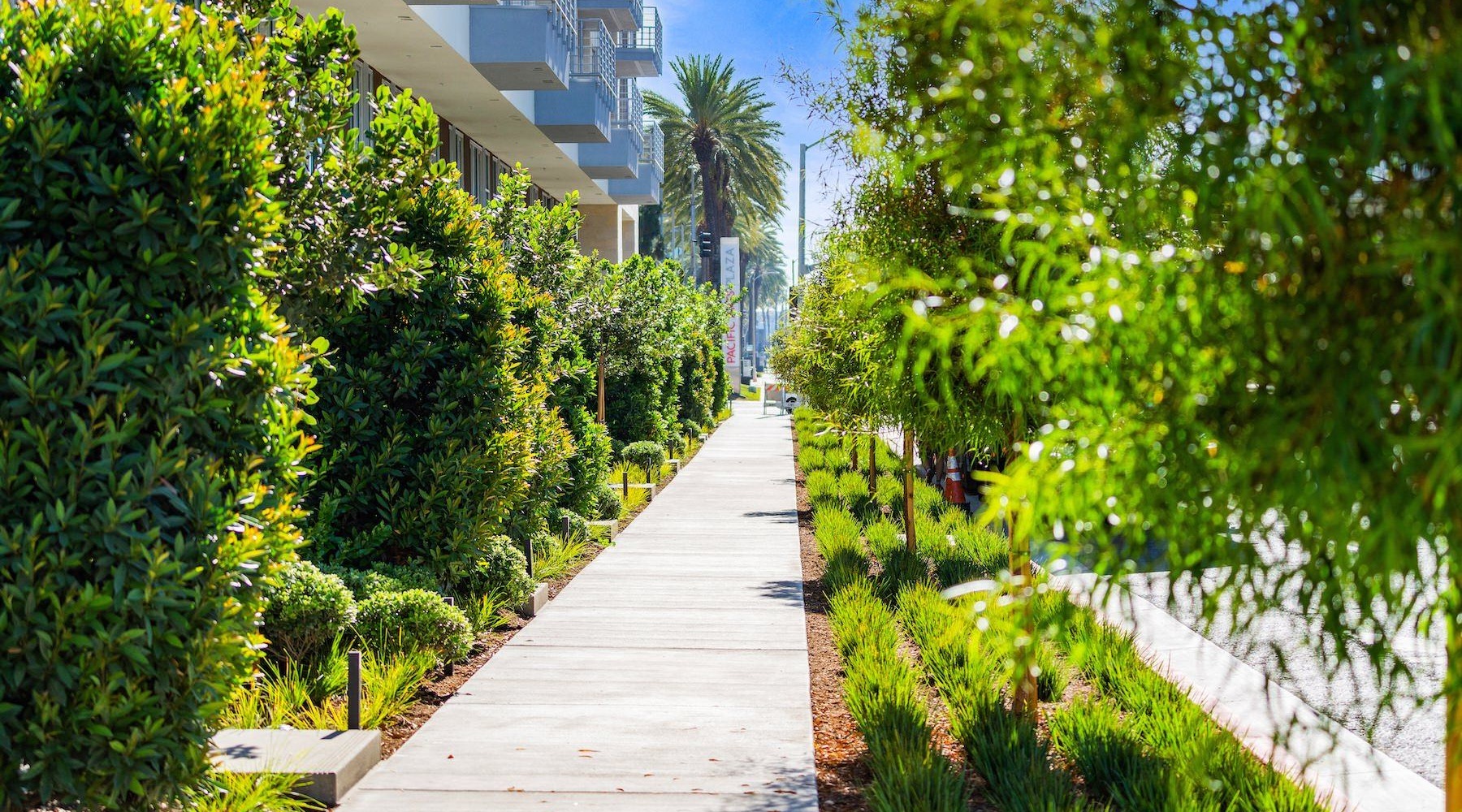 a walkway between buildings
